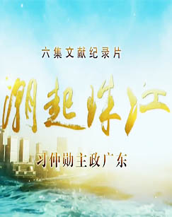 潮起珠江封面图