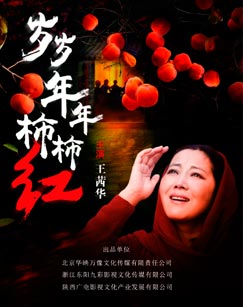 岁岁年年柿柿红封面图