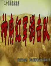 神府红军游击队封面图