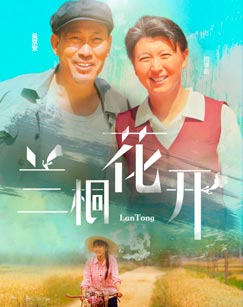 兰桐花开封面图