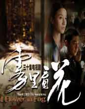 雾里看花封面图