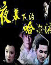 夜幕下的哈尔滨(84版)封面图