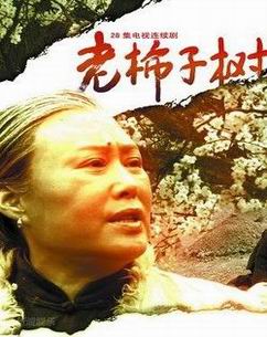 老柿子树封面图