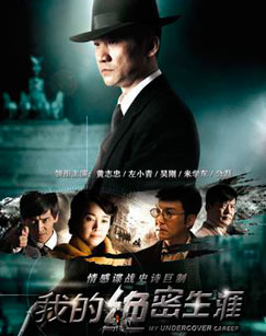 我的绝密生涯封面图