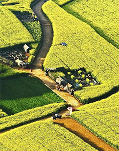 春天的故事封面图