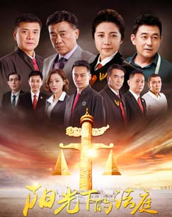 阳光下的法庭封面图