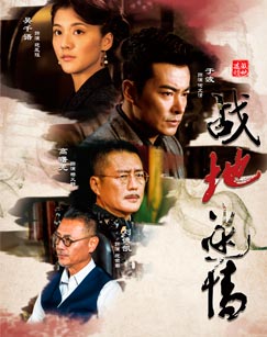 战地迷情封面图