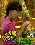 呼噜小精灵第一季封面图