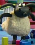 小小羊提米封面图