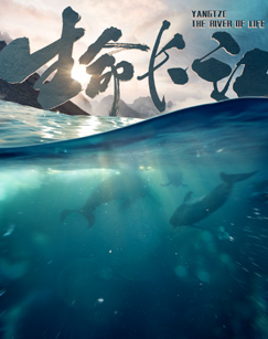 生命长江封面图