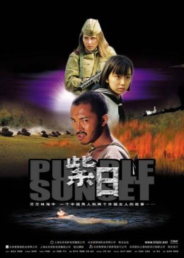 紫日封面图