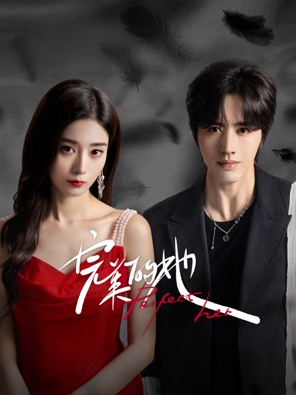 完美的她封面图