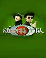 动物特工队封面图